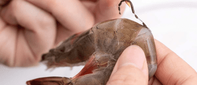 Langostinos. Descubre qué es la “vena negra” del langostino y los riesgos de comerla