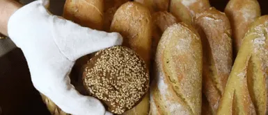 Pan en tu dieta. ¿Cuánto pan puedes comer sin culpa? Una nutricionista lo revela