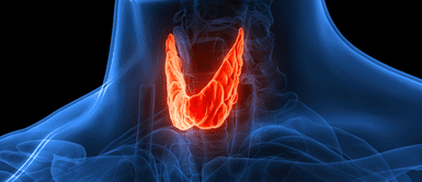 La tiroides. Si tienes problemas de tiroides, evita estos alimentos a toda costa