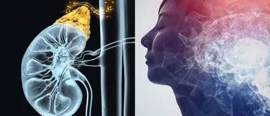 Hábitos para frenar el estrés. Cómo reducir el estrés y equilibrar el cortisol de manera natural