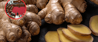 Congreso declaró el cuarto jueves de mayo como el Día del Kion. Congreso declara 'Día Nacional del Kion' en medio de crisis de seguridad en Perú