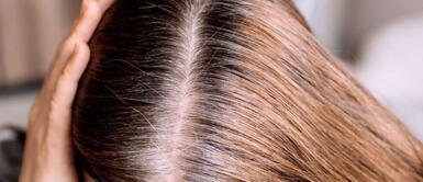 Adiós al color negro: 3 razones para no teñir tus canas de este tono oscuro Adiós al color negro: 3 razones para no teñir tus canas de este tono oscuro