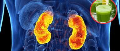 Riñones limpios. Infusión de perejil para limpiar los riñones: ¿Cómo tomarla correctamente para obtener resultados?