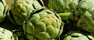 Alcachofa. Alcachofa: la forma correcta de comerla y los sorprendentes beneficios que no conocías