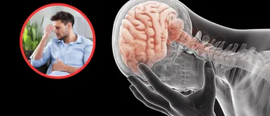 Planta medicinal para reducir el estrés y ansiedad. La planta milenaria que la ciencia moderna respalda por sus efectos contra el estrés, la ansiedad y el insomnio