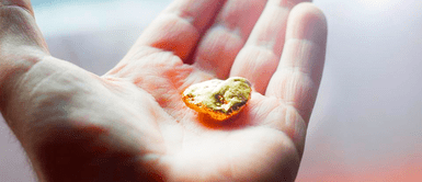 El dispositivo electrónico que todos tenemos en casa y tiramos que contiene oro de 22 quilates, según científicos El dispositivo electrónico que todos tenemos en casa y tiramos que contiene oro de 22 quilates, según científicos