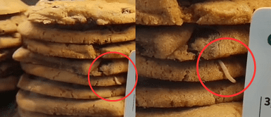 Gusano. “Extra proteína”: redes enloquecen tras hallazgo de gusano en galleta de Starbucks