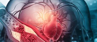 Colesterol malo. ¿Quieres evitar el colesterol alto? El mal hábito que debes eliminar antes de los 50, según expertos