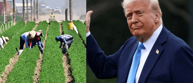 Empleo para indocumentados en Estados Unidos tendrá NUEVAS REGLAS Atentos inmigrantes: Empleo para indocumentados en Estados Unidos tendrá NUEVAS REGLAS para solicitar permisos