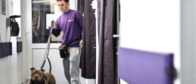 Británicos abandonan a sus mascotas por culpa de la crisis económica. Británicos abandonan a sus mascotas por culpa de la crisis económica