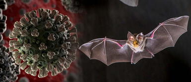 Filtran más PRUEBAS con revelarían la verdad sobre la creación del Covid Filtran más PRUEBAS que revelarían la verdad sobre la creación del Covid en un laboratorio chino