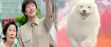 "Hasta que el cielo nos reúna" muestra como humanos y mascotas se reúnen en el más allá Netflix estrenó kdrama que muestra que el amor entre humanos y animales no termina con la muerte