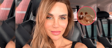 Juliana Oxenford dedica emotivas palabras a su 'hermana' y reveló imágenes INÉDITAS nunca antes vistas Juliana Oxenford dedica emotivas palabras a su 'hermana' y reveló imágenes INÉDITAS nunca antes vistas