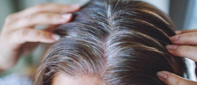 Las canas cuentan una historia de vida y de transformació personal. ¿Dejarse las canas? La psicología revela el poderoso mensaje detrás de no teñirse el cabello