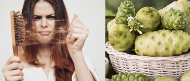 ¿Caída del pelo? El noni, la fruta ancestral Adiós a la caída del cabello: el noni tiene la solución que tu melena necesita
