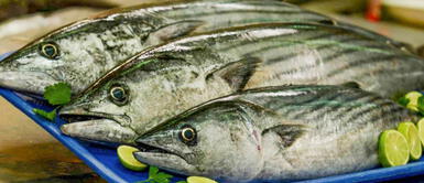 En Perú, no se consume pescado en comparación con otros países. Seguridad alimentaria: ¿por qué diversificar el consumo de pescado en el Perú?