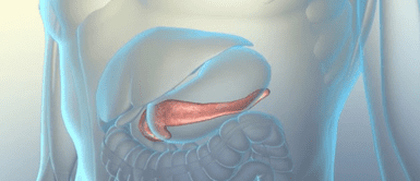 La fruta que los diabéticos deberían comer todos los días: regula el azúcar y limpia el hígado naturalmente La fruta que los diabéticos deberían comer todos los días: regula el azúcar y limpia el hígado naturalmente
