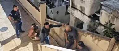 Horror en casa: hermanos ocultaron el cadáver de su padre por este motivo que te helará la sangre Horror en casa: hermanos ocultaron el cadáver de su padre por este motivo que te helará la sangre