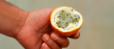Pocos lo saben: lo que realmente hace la GRANADILLA a tu sistema nervioso y cardiovascular Pocos lo saben: lo que realmente hace la GRANADILLA a tu sistema nervioso y cardiovascular