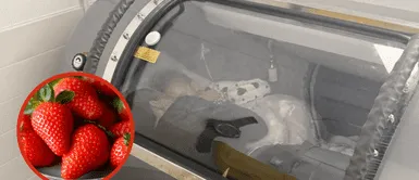 Creyeron que eran fresas, pero era cáncer: el devastador diagnóstico de una niña británica Creyeron que eran fresas, pero era cáncer: el devastador diagnóstico de una niña británica