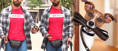 Paseador de perros gana más que un profesional en Perú: este es el EXHORBITANTE SUELDO del oficio más bonito Paseador de perros gana más que un profesional en Perú: este es el EXHORBITANTE SUELDO del oficio más bonito