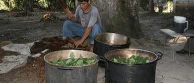 Ayahuasca. ¿Sanación o delirio? La verdad detrás de la ayahuasca que todos callan