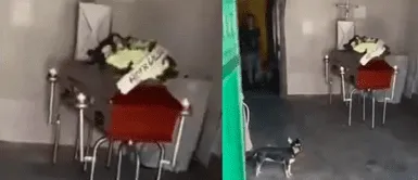 Joven va a cobrar deuda y descubre que su cliente murió Joven queda en shock tras ir a cobrar deuda a su cliente y descubrir que había muerto: “Hace 3 días le hice el crédito”