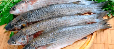 Estos pescados fueron retirados del mercado por estar infectados con parásitos URGENTE | Estos son los pescados que fueron retirados del mercado por estar infectados con parásitos