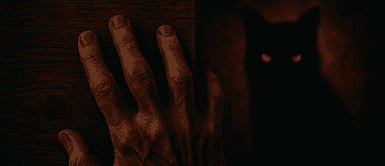 ¿Por qué todos tocan madera para tener suerte? El origen oculto de esta superstición mundial ¿Por qué todos tocan madera para tener suerte? El origen oculto de esta superstición mundial