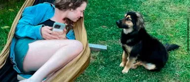 Mochilera británica reúne $20 mil para rescatar y darle nueva vida a un perrito peruano abandonado Mochilera británica reúne $20 mil para rescatar y darle nueva vida a un perrito peruano abandonado