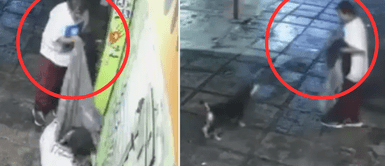 ¡Indignante! Sujeto le roba la cobija a un perrito callejero y desata la furia en redes ¡Indignante! Sujeto le roba la cobija a un perrito callejero y desata la furia en redes
