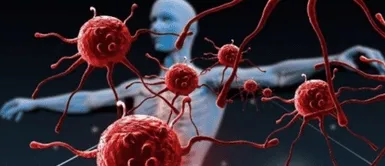 Lo ignoran mucho, pero es el alimento que tiene más proteínas y hierro que la carne, según expertos Lo ignoran mucho, pero es el alimento que tiene más proteínas y hierro que la carne, según expertos