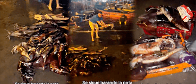 Decenas de potas aparecen en Pucusana y despiertan temor a un sismo devastador Decenas de potas aparecen en Pucusana y despiertan temor a un sismo devastador