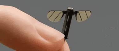 China crea un dron del tamaño de un mosquito que es casi imposible de detectar China crea un dron del tamaño de un mosquito que es casi imposible de detectar