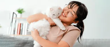 Cómo elige un gato a su persona favorita ¡Solo elige a uno! DESCUBRE cómo un gato escoge a su persona favorita