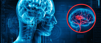 ¿Quieres un cerebro joven y ágil? Estas 3 prácticas lo mantienen en forma, revela especialista ¿Quieres un cerebro joven y ágil? Estas 3 prácticas lo mantienen en forma, revela especialista