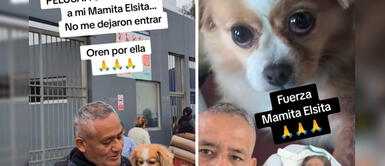 Perrita "Pelusa" conmueve al SUPLICAR una visita a su dueña enferma en hospital de Essalud Perrita "Pelusa" conmueve al suplicar una visita a su dueña enferma en hospital de Essalud