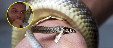 La congregación oraba en silencio mientras observaba lo que hacía el pastor. Pastor se dejó morder por serpiente para poner a prueba su fe delante de feligreses ¡Y terminó trágicamente!