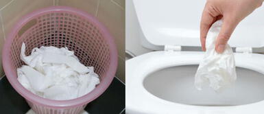 Recomiendan tirar el papel higiénico al inodoro, pero el alcantarillado aguanta. La verdad sobre el papel higiénico: ¿Por qué en Perú no se tira al inodoro?