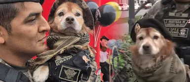 'Chato' se despide del Desfile Militar Su última misión: Chato, el perrito paracaidísta de la Policía participa por última vez en Desfile Cívico Militar