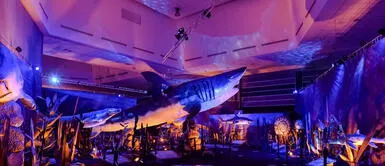 Este año, el C.C. Plaza Lima Norte se convierte en el epicentro de la diversión familiar. Celebra el Día del Niño con la exhibición “Monstruos Marinos”