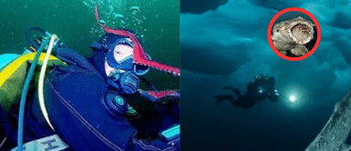 criatura misteriosa del océano Buzo dejó caer su cámara en el océano y registró una aterradora especie oculta en las profundidades