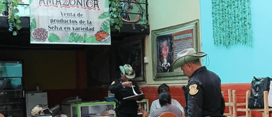 Decomisan carne de lagarto en restaurante de Arequipa: 8 kilos listos para el consumo Decomisan carne de lagarto en restaurante de Arequipa: 8 kilos listos para el consumo