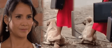 Actriz de 'AFHS' es criticada Fuerte polémica: Nidia Bermejo, Olinda de 'Al fondo hay sitio' recibe ola de críticas por trato a perrito callejero