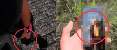 Paracaidista pierde su celular tras caer de 1,500 metros de altura y lo encuentra como nuevo Paracaidista pierde su celular tras caer de 1,500 metros de altura y lo encuentra como nuevo