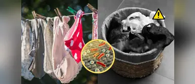 bacterias que oculta tu ropa interior ¡ALERTA! Científicos revelan cuántas bacterias oculta tu ropa interior limpia y cómo eliminarlas hoy mismo