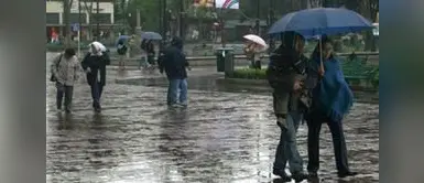 Se presentarán precipitaciones “de ligera a moderada intensidad” en Lima y 6 regiones del país. Senamhi ACTIVA alerta amarilla en Lima y seis regiones del país por intensas lluvias, descargas eléctricas y ráfagas de viento