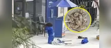 A parte de la mujer, otros trabajadores resultaron con heridos por las abejas. Mujer sufre brutal ataque de abejas en Jesús María y vecinos denuncian falta de apoyo de empresa empleadora