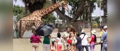 Aún quedan feriados para disfrutar en familia, amigos o pareja. ATENCIÓN | Conoce cuál es el feriado que se acerca y quienes podrán disfrutarlo
