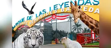 El congresista Guido Bellido propuso la eliminación de todos los zoológicos del Perú. ¿Proponen cerrar Parque de las Leyendas? Proyecto de ley busca la eliminación de los zoológicos del Perú